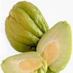 Chayote sin Espinas